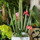 영덕전문장례식장 이미지