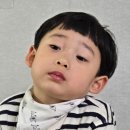 뽀송이 운동화 세탁 이미지