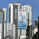 부산 대방어 원탑? [ 연산동 도심속바다 ] 오픈런 후기