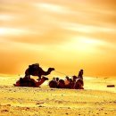 사하라(SAHARA) 이미지