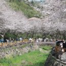 서홍동-3 이미지