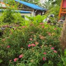 13월의아침 이미지