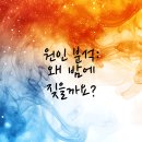 송파새날동물병원 | 밤새워 짖는 우리 강아지, 송파구동물병원 해결사!