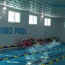 배방파인트리수영장 이미지