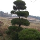 낭산농장 이미지