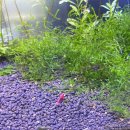 테마와 하루(농어촌 체험) | 포천 실내 가볼만한 곳 | 아이와 함께 즐긴 포프 곤충테마파크 체험 후기