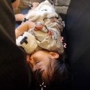 지안상회 이미지