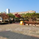인천안산초등학교 이미지
