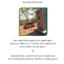 5월26일(일) 해협산 이미지