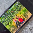 포곡어린이집 이미지