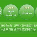 에비타몰 이미지