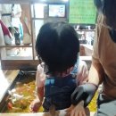 [경기 하남] 요정출몰지역(동물카페 : 토끼, 물고기 밥주기)