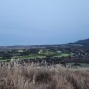 해송목장 이미지