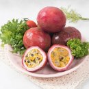 푸른들 쇼핑하우