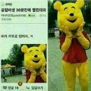 알바 이미지