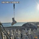 신성크레인