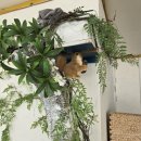 파도바 바다풍경 | 대부도 카페 파도바 바다풍경 내돈내산 후기 및 시화나래 방문기