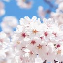 맥스아웃 휘트니스 정발산점 이미지