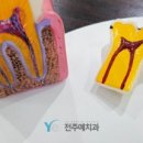 전주예치과의원 이미지