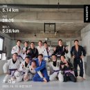 와이어주짓수 | 여의도 주짓수에 다녀보자[여의도 와이어 주짓수]