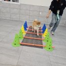 멍스 스쿨 이미지