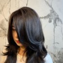 엘룩스헤어 이미지