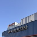 경주세계자동차박물관 | 15개월 아기랑 경주세계자동차박물관 내돈내산 후기