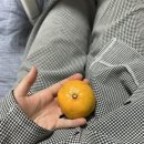 매곡로,다사로 네이버블로그
