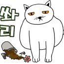 망포약국 이미지