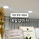망원 웨딩네일 네일샵이지 시저케어 인증샵