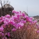 캐슬529 키즈풀빌라 이미지