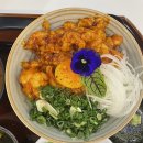 유하일식 이미지