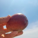 재주농장 이미지