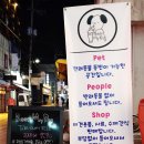 비어마이독 이미지
