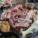 고흥읍 학교길 이미지