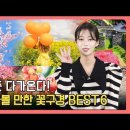 봄꽃특집🌺 숨겨진 벚꽃, 유채꽃 성지 추천ㅣ 4월 가볼 만한 국내여행지 6곳ㅣ이달의 추천 가볼 만한 곳 이미지