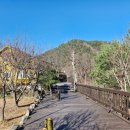 양양 발렌타인 애견펜션 | 강원도펜션 고민 끝에 선택한 양양 애견펜션 후기