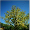 BBC당구장 이미지