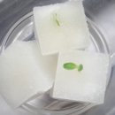 롤라로사