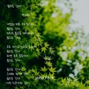 박하향기