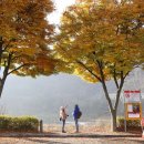 한탄강 유원지6 이미지