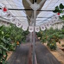 병식농장 이미지