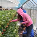 김인숙 농장 이미지