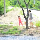 개나리민박 이미지