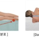다이오(DAIO)