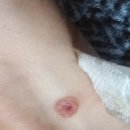 이종성피부과의원 이미지