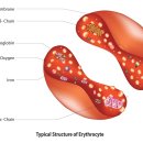 재생동물병원 이미지
