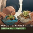 친환경 식물로 소품만들기 | 수영구 문화도시 친환경 식물오브제 만들기 단체 출강 원데이 클래스 체험 프로그램