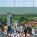 주식회사 청아재 | 가평 키즈펜션 청아재 가족여행 수영장 풀빌라 후기