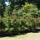 장미공원안내소 이미지